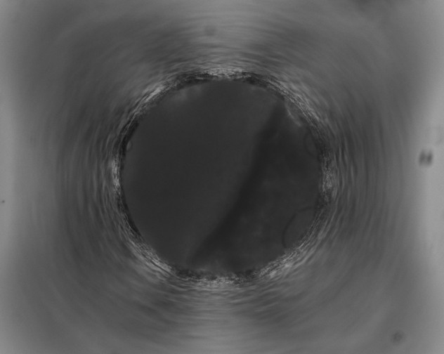 X0000098131106200805011315