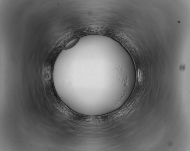 X0000098131107200805011315