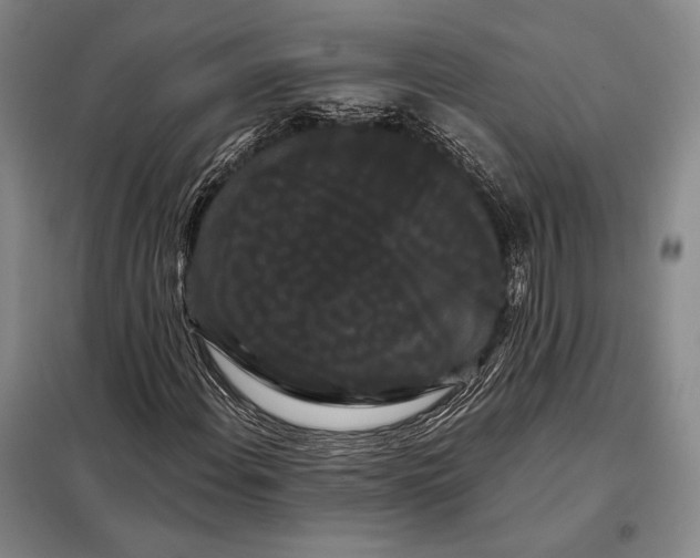 X0000098131108200805011315