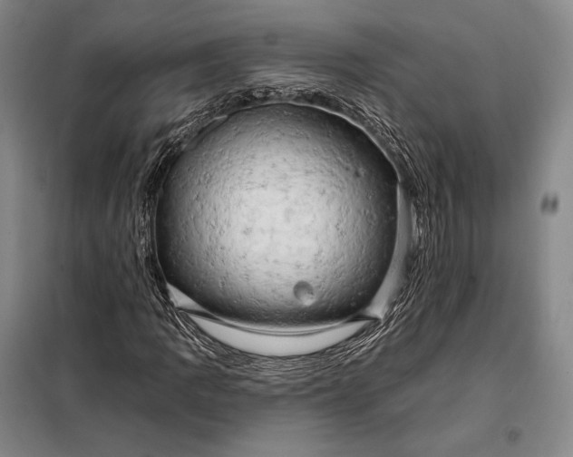 X0000098131109200805011315