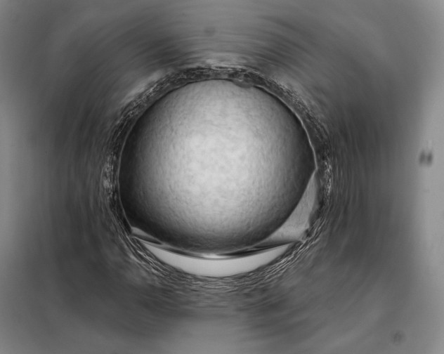 X0000098131110200805011315