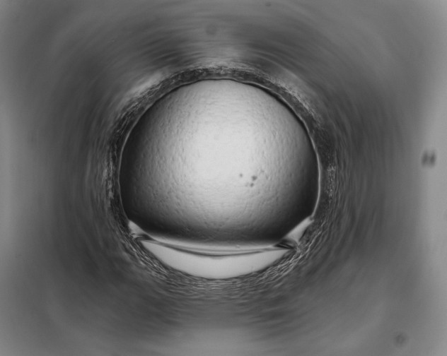 X0000098131111200805011315