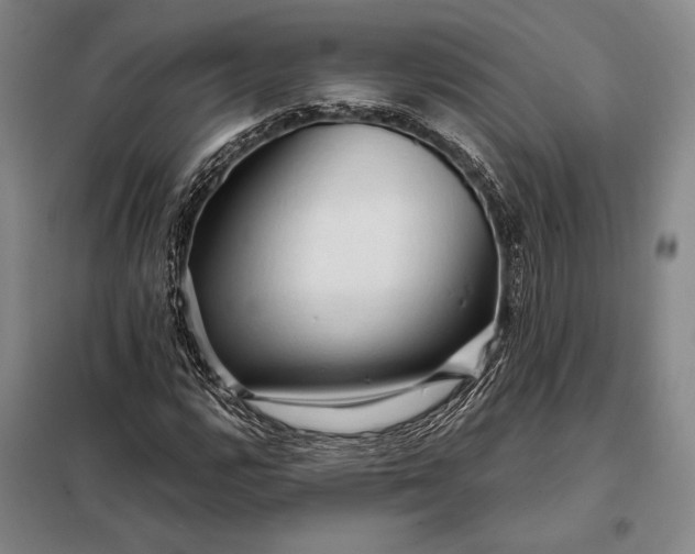 X0000098131112200805011315