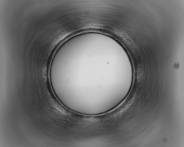 X0000098131113200805011315