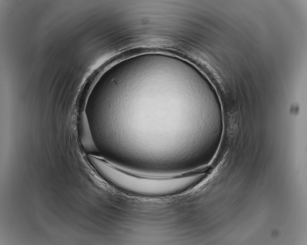 X0000098131114200805011315