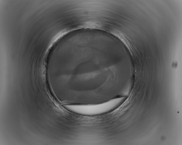 X0000098131115200805011315