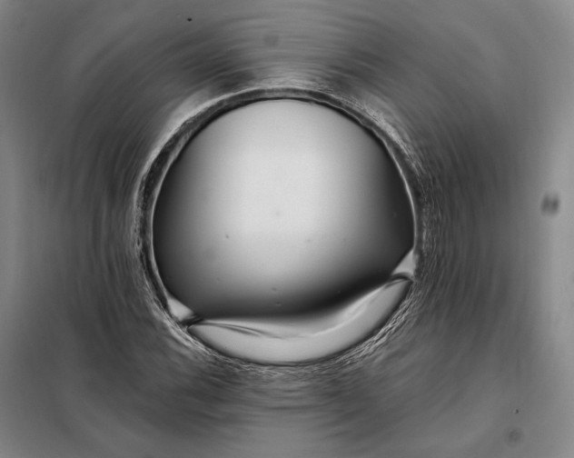 X0000098131116200805011315