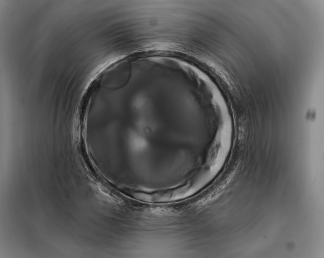 X0000098131117200805011315