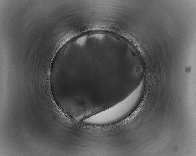 X0000098131121200805011315