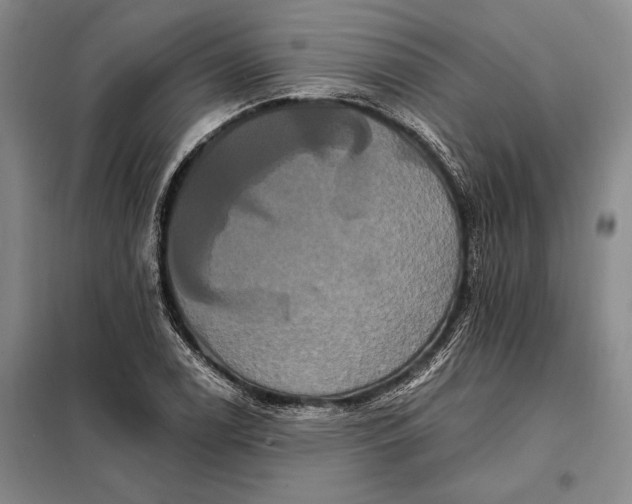 X0000098131122200805011315