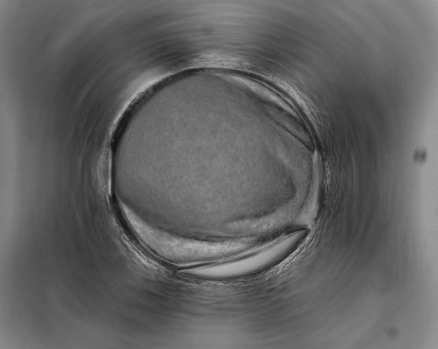 X0000098131123200805011315