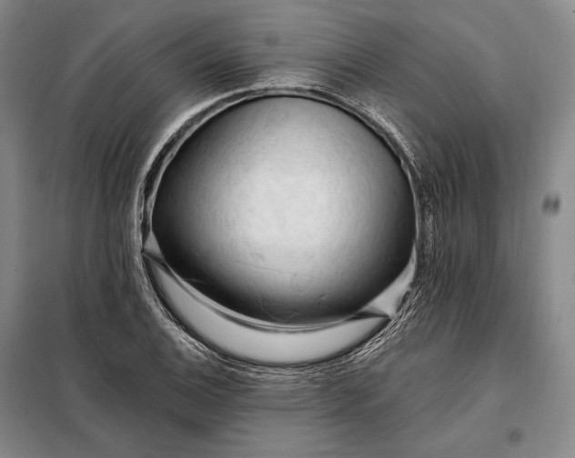 X0000098131124200805011315