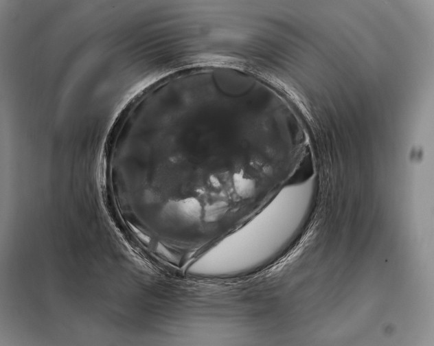X0000098131125200805011315