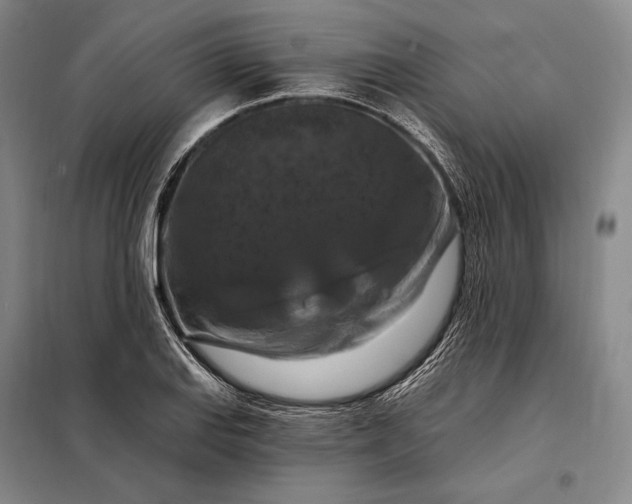 X0000098131127200805011315
