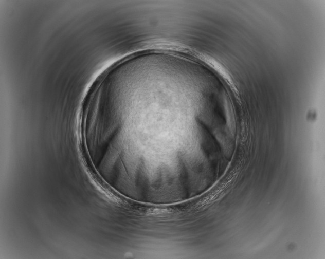 X0000098131128200805011315