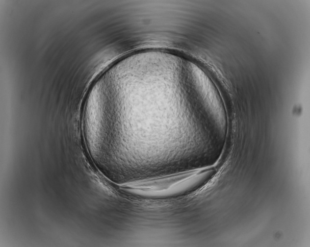 X0000098131129200805011315