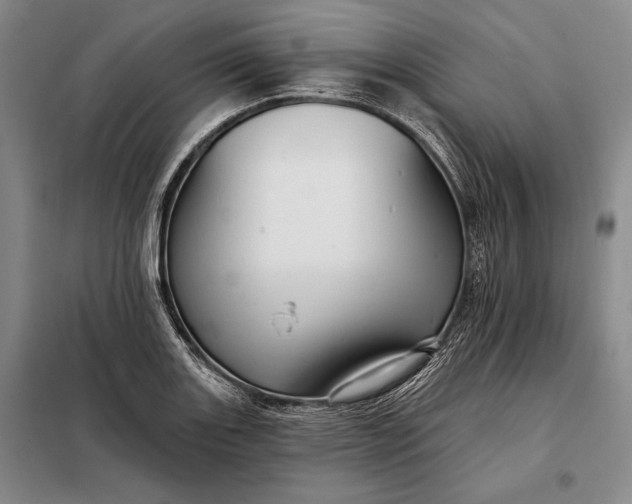 X0000098131131200805011315