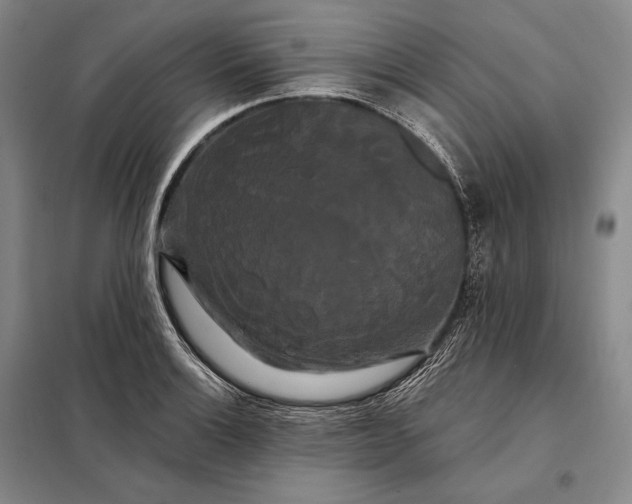 X0000098131132200805011315