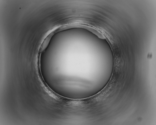 X0000098131134200805011315