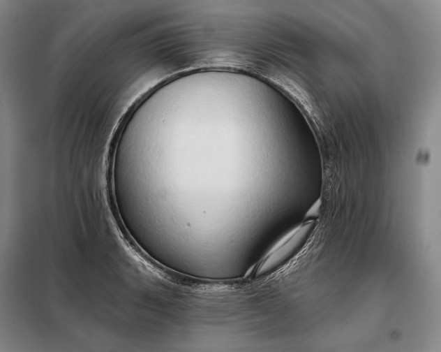 X0000098131135200805011315