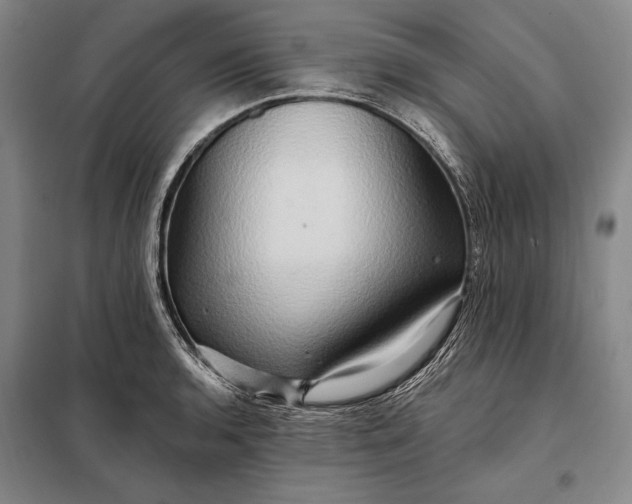 X0000098131136200805011315