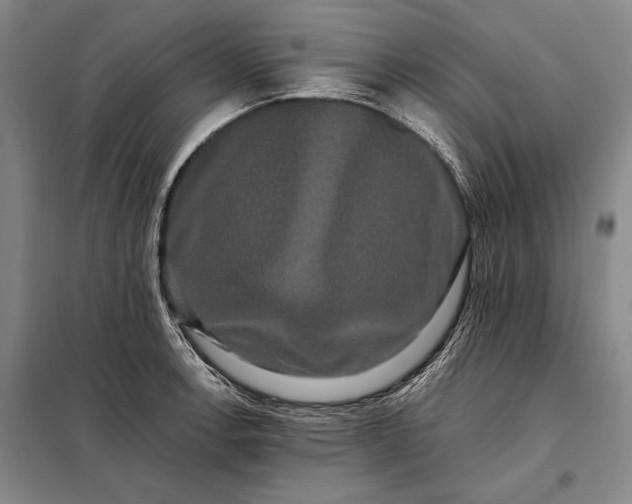 X0000098131138200805011315