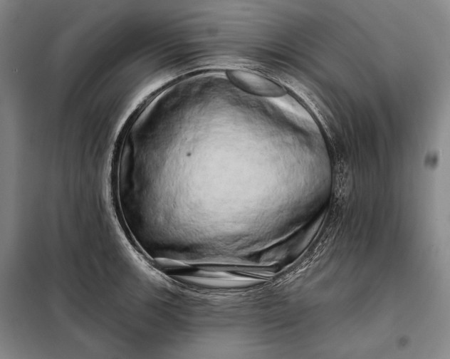 X0000098131139200805011315