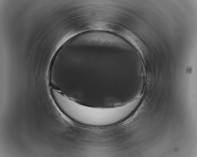 X0000098131141200805011315