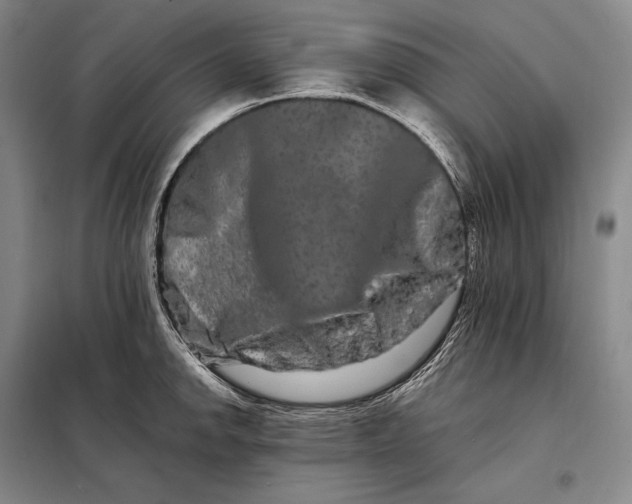 X0000098131142200805011315