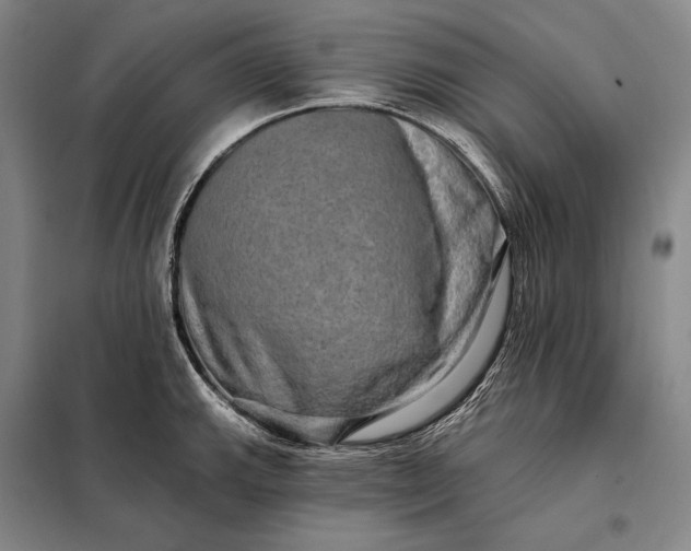 X0000098131143200805011315