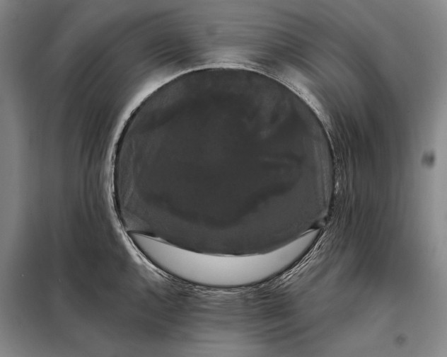X0000098131144200805011315