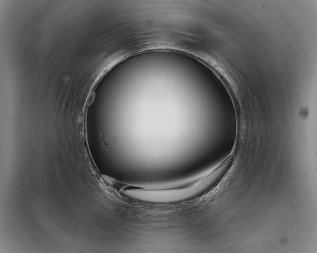 X0000098131145200805011315