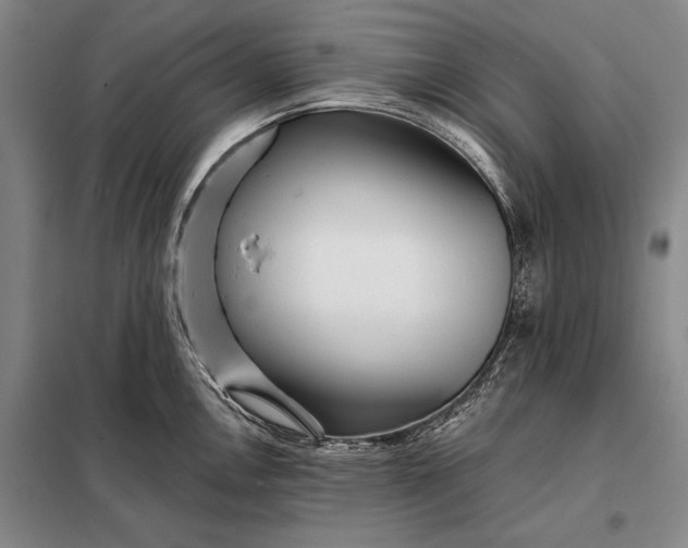 X0000098131146200805011316
