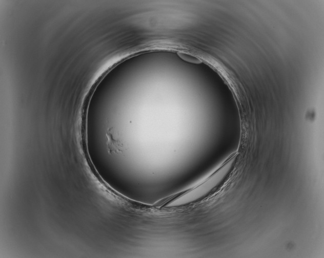 X0000098131147200805011316