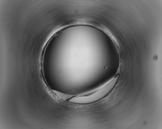 X0000098131148200805011316