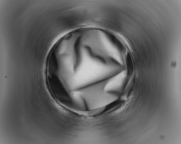 X0000098131149200805011316