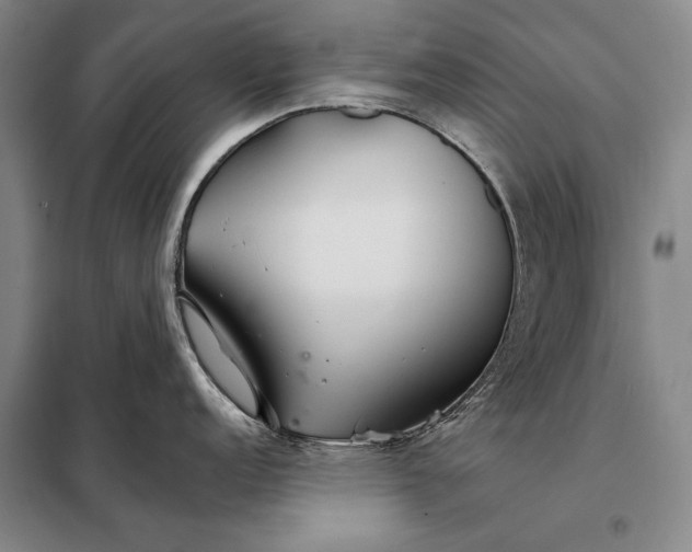 X0000098131152200805011316