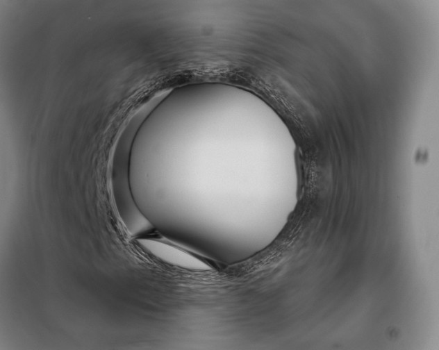 X0000098131153200805011315