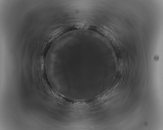 X0000098131154200805011315