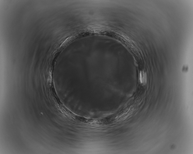 X0000098131155200805011315