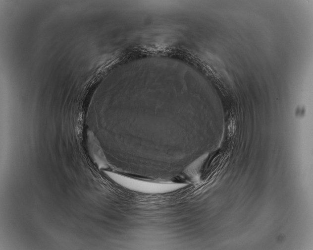 X0000098131156200805011315
