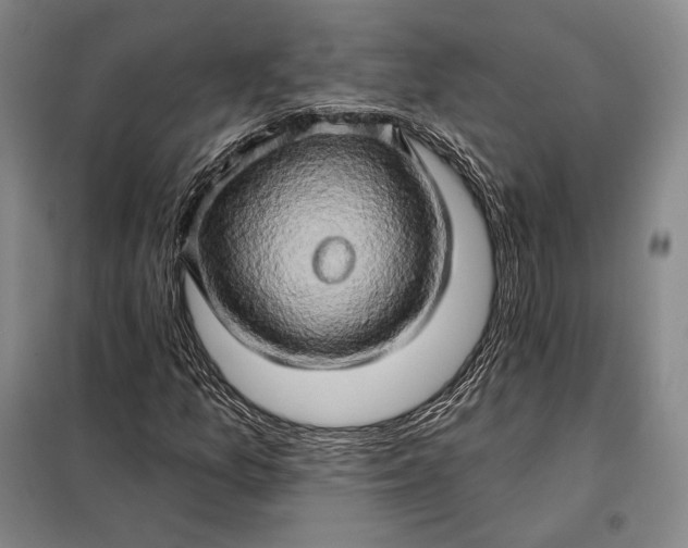 X0000098131157200805011315