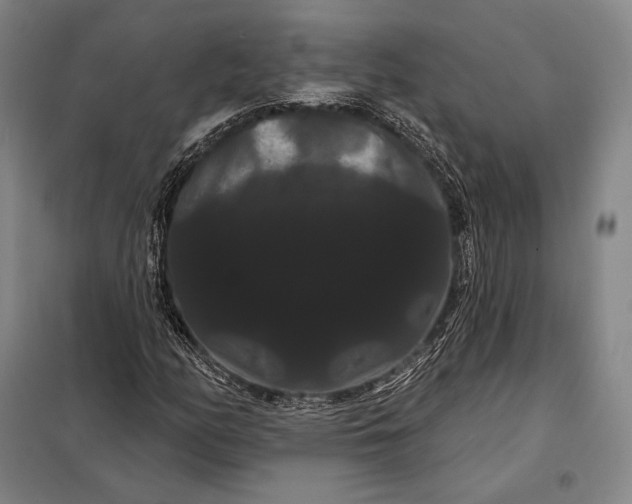 X0000098131158200805011315