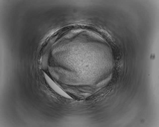 X0000098131159200805011315