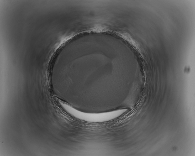 X0000098131160200805011315