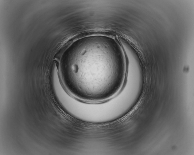 X0000098131161200805011315
