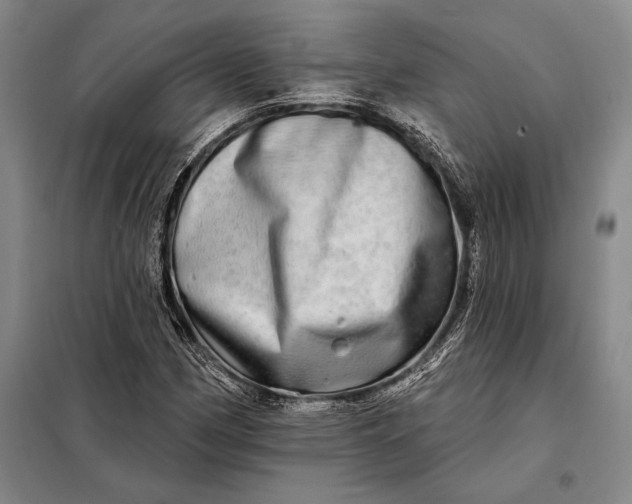 X0000098131162200805011315