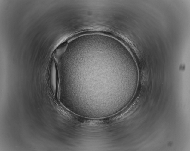 X0000098131163200805011315