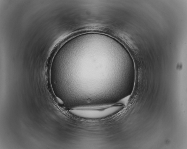 X0000098131164200805011315
