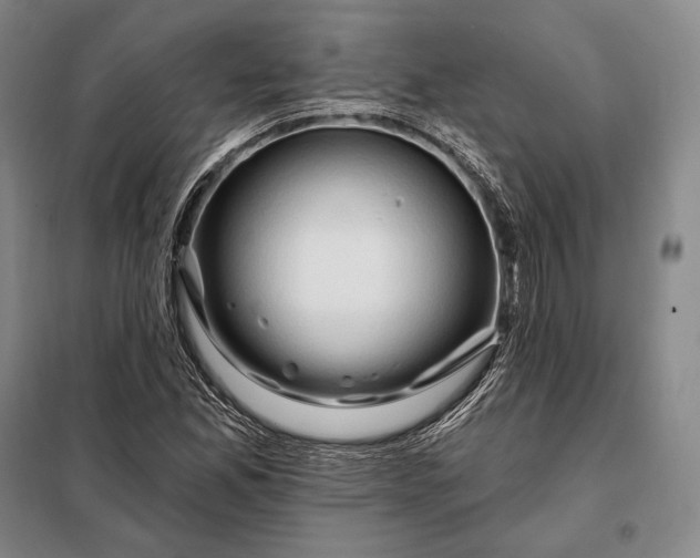 X0000098131165200805011315